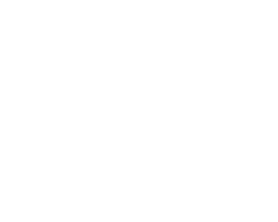 Mercado-Shops-1